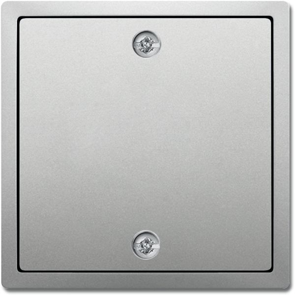 1796-866 CoverPlates (partly incl. Insert) pure stainless steel Stainless steel image 1