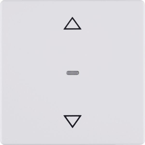 Shutter push-button, Q.1/Q.3, p. white velvety image 2