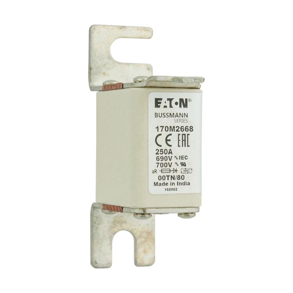 Fuse-link, high speed, 250 A, AC 690 V, DIN 00, aR, DIN, IEC, single indicator, live gripping lugs image 8