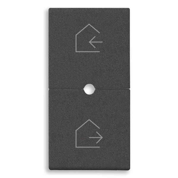 2 half buttons 1M scenario symbol carbon image 1