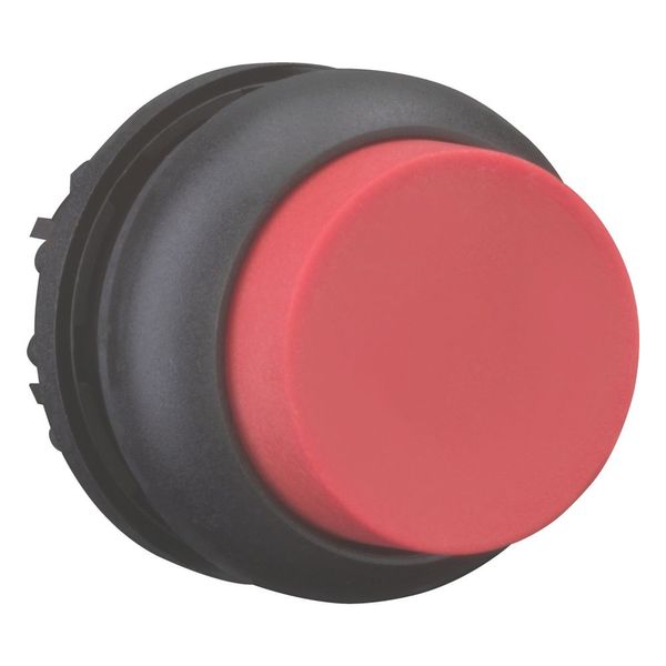 Pushbutton, RMQ-Titan, Extended, momentary, red, Blank, Bezel: black image 7