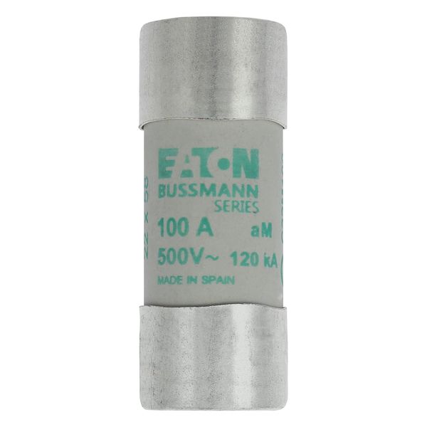 Fuse-link, LV, 100 A, AC 500 V, 22 x 58 mm, aM, IEC image 5