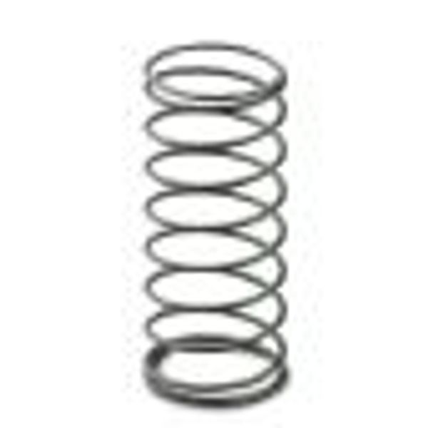 Replacement spring image 2