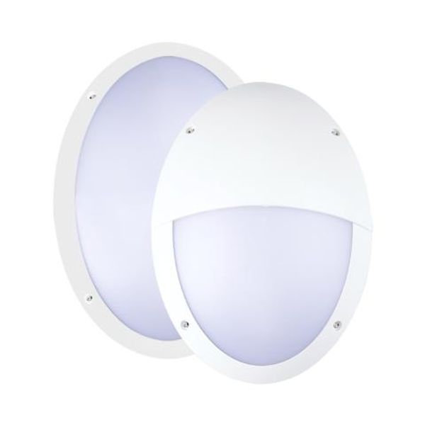 Outdoor Light with Light Source - wall light 8.5W 806lm 2700K IP66  - White image 1