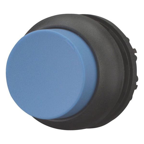 Pushbutton, RMQ-Titan, Extended, maintained, Blue, Blank, Bezel: black image 4