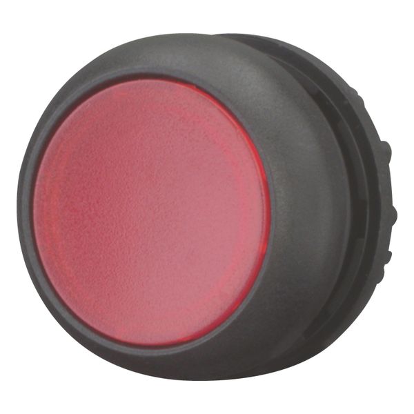 Illuminated pushbutton actuator, RMQ-Titan, Flush, maintained, red, Blank, Bezel: black image 2