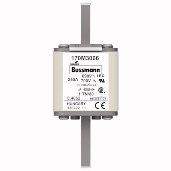 Fuse-link, high speed, 250 A, AC 690 V, compact DIN 1, 45 x 58 x 104 mm, aR, DIN, IEC, single indicator image 1