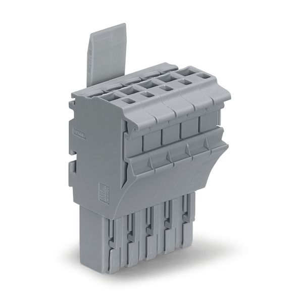 1-conductor female connector Push-in CAGE CLAMP® 4 mm² gray image 1