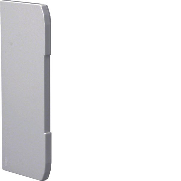 Endcap overlapping for wall trunking BRN 70x170mm of PVC in light grey image 1