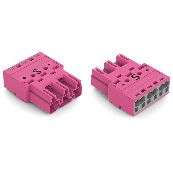 Plug 3-pole Cod. B pink image 3