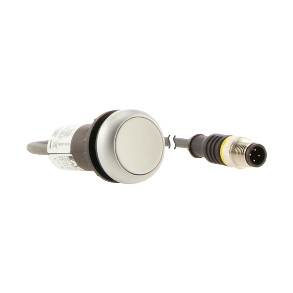 Pushbutton, Flat, momentary, 1 N/O, Cable (black) with M12A plug, 4 pole, 0.5 m, White, Blank, Bezel: titanium image 17