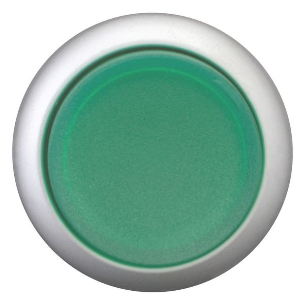 Illuminated pushbutton actuator, RMQ-Titan, Extended, maintained, green, Blank, Bezel: titanium image 3