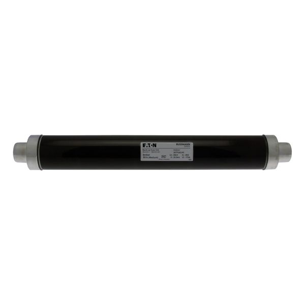 Fuse-link, medium voltage, 40 A, AC 36 kV, 3", 76 x 537 mm, back-up, DIN, with striker image 2