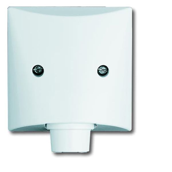 2133-32 CoverPlates (partly incl. Insert) carat® White image 1