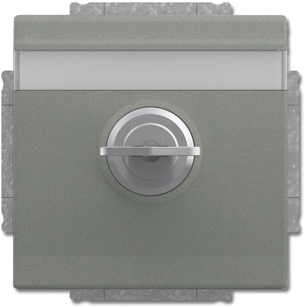 20 EUKNBSL-803-101 CoverPlates (partly incl. Insert) carat® grey metallic image 1