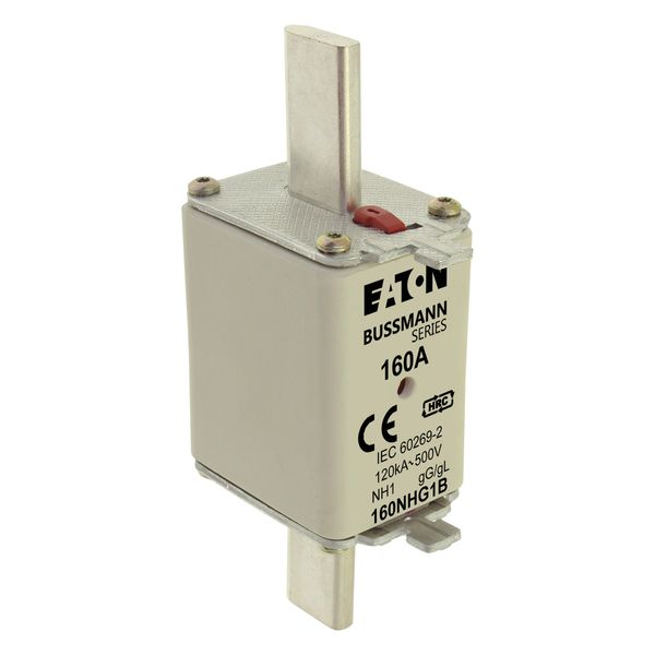 Fuse-link, low voltage, 160 A, AC 500 V, NH1, gL/gG, IEC, dual indicator image 16