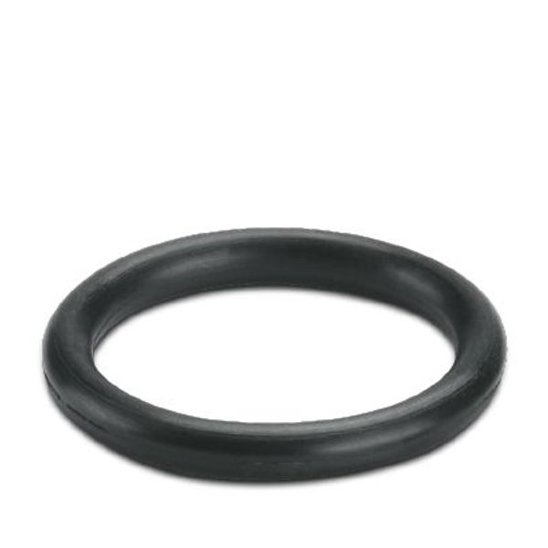 Sealing ring image 1