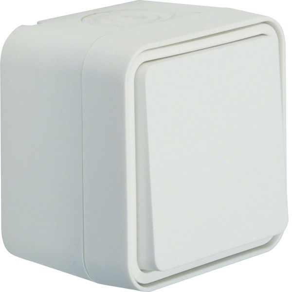 Change-over switch surface-mounted, W.1, polar white image 1