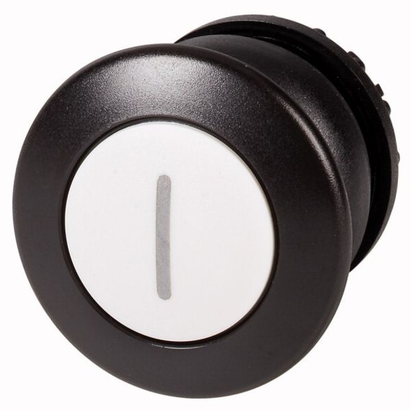 Mushroom actuator, RMQ-Titan, Mushroom, momentary, Mushroom black, White, inscribed, Bezel: black image 1