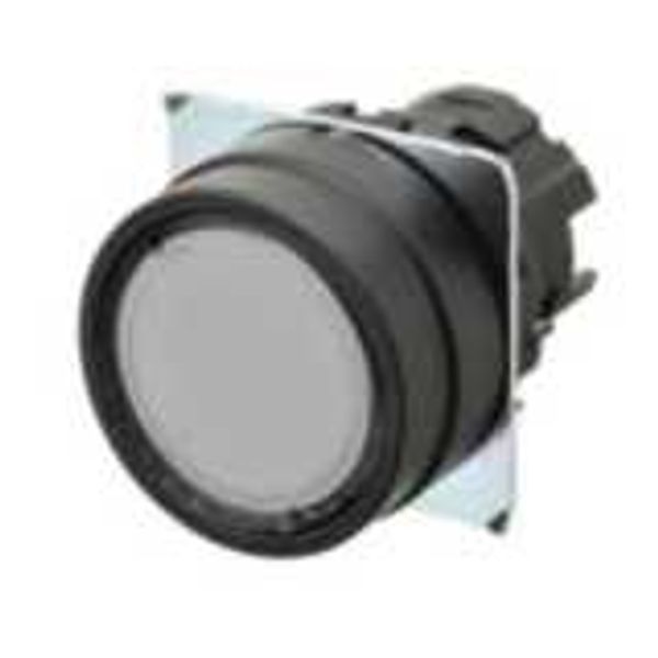 Pushbutton A22NZ 22 dia., bezel plastic, flat, momentary, cap color tr image 3