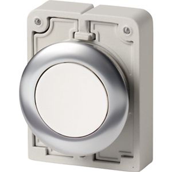 Pushbutton, RMQ-Titan, flat, maintained, White, blank, Front ring stainless steel image 2