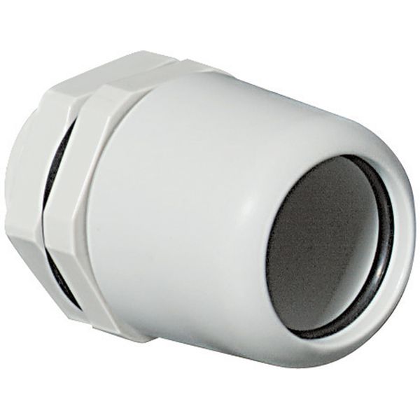 THR.CABLE GLAND IP55 D20 image 1