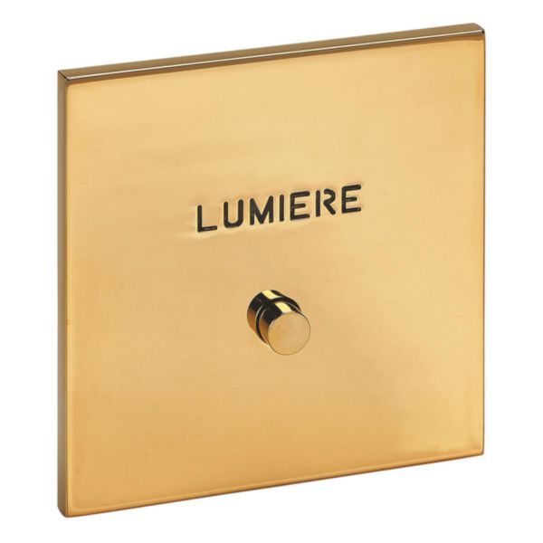 67792 Art d'Arnould universe Epure illuminated push button 1 position with Lumière marking - mirror gold image 1