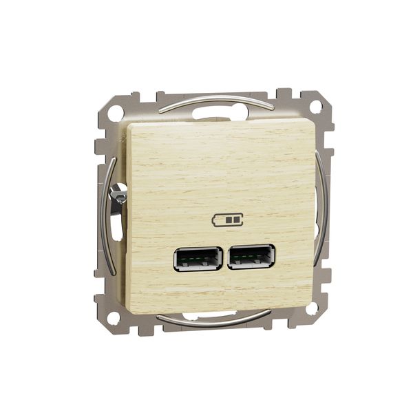 Sedna Design & Elements, USB charger A+A, 2,1, wood birch image 4
