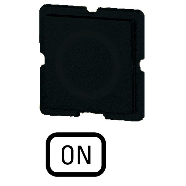 Button plate for push-button, Inscription: ON, 25 x 25 image 1