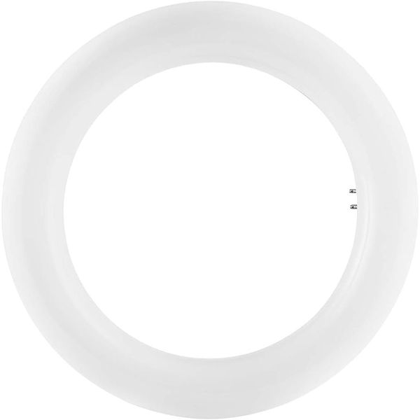 LED Essence Tube Ring T9, RL-T9 C22 840/G10Q EM image 1