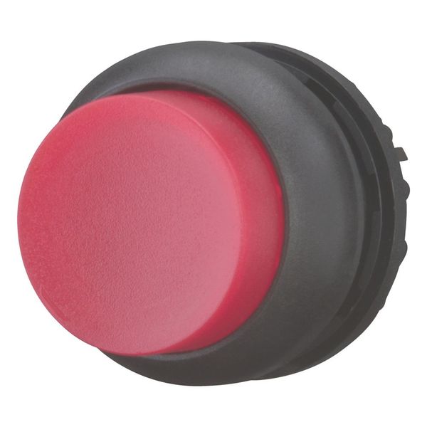 Illuminated pushbutton actuator, RMQ-Titan, Extended, momentary, red, Blank, Bezel: black image 5