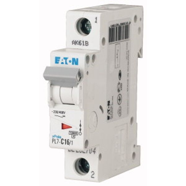 PL7-B2,5/1 Small circuit breaker, 10kA 1p (instead of 278524) image 1