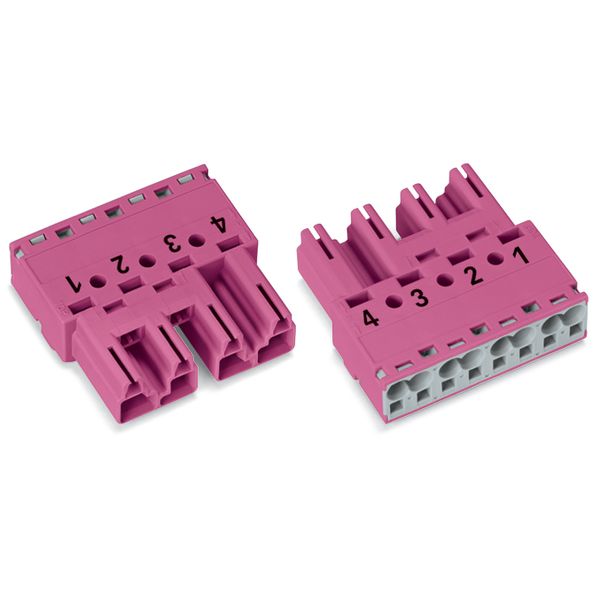 Plug 4-pole Cod. B pink image 2