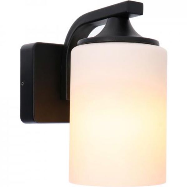 Outdoor Light without Light Source - wall light Abilene - 1xE27 IP44  - Anthracite image 1