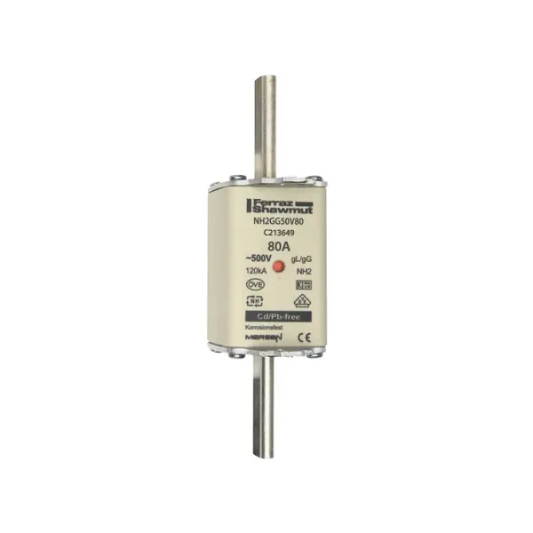 Fuse-link NH2 gG 500VAC 80A live tags Double indicator image 2