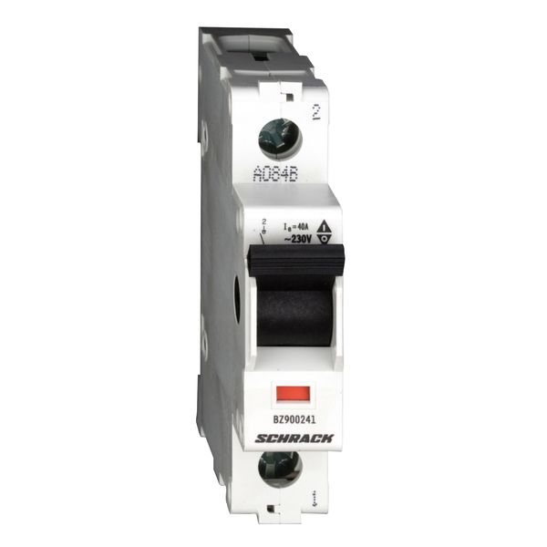 Main Load-Break Switch (Isolator) 40A, 1-pole image 1