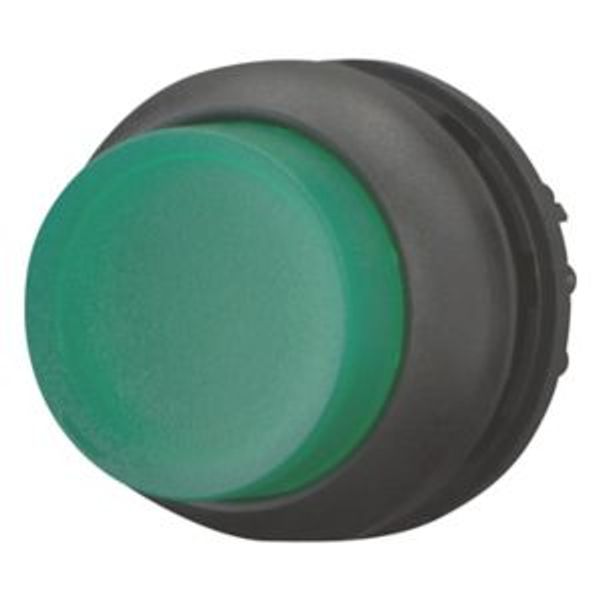 Illuminated pushbutton actuator, RMQ-Titan, Extended, momentary, green, Blank, Bezel: black image 2