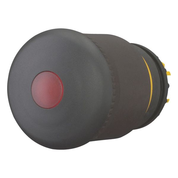 HALT/STOP-Button, RMQ-Titan, Mushroom-shaped, 38 mm, Illuminated with LED element, Pull-to-release function, Black, yellow, RAL 9005 image 6