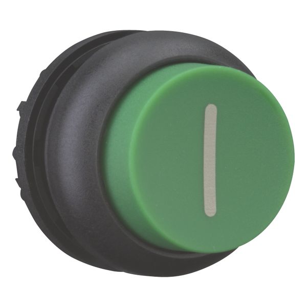 Pushbutton, RMQ-Titan, Extended, momentary, green, inscribed, Bezel: black image 8