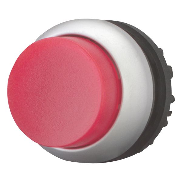 Illuminated pushbutton actuator, RMQ-Titan, Extended, momentary, red, Blank, Bezel: titanium image 3