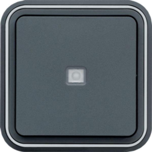CUBYKO BUTTON LIGHT RECESSED IP55 GRAY image 1