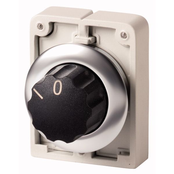 Changeover switch, RMQ-Titan, with rotary head, momentary, 2 positions, inscribed, Front ring stainless steel image 1
