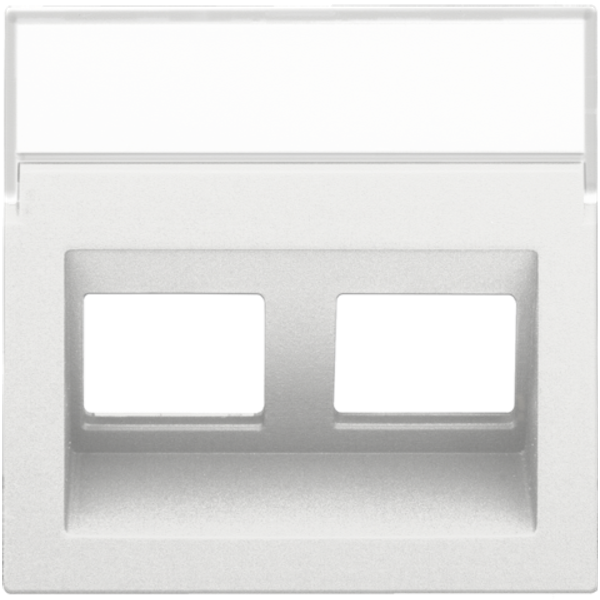 Central plate data 2x RJ oblique output, white coated image 2