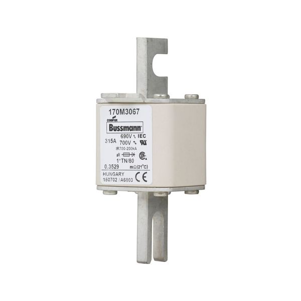 Fuse-link, high speed, 315 A, AC 690 V, compact DIN 1, 45 x 58 x 104 mm, aR, DIN, IEC, single indicator image 7