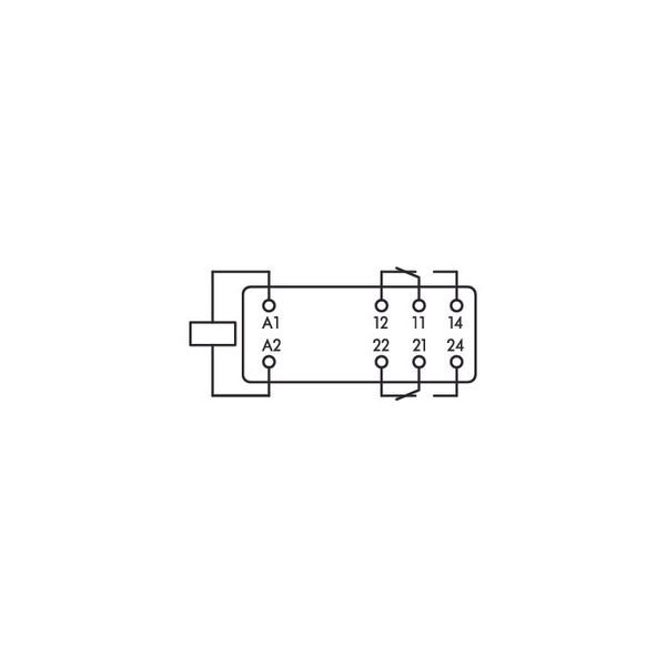 Basic relay Nominal input voltage: 24 VAC 2 changeover contacts image 3
