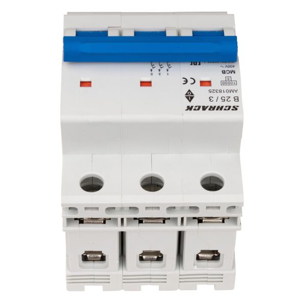 Miniature Circuit Breaker (MCB) AMPARO 10kA, B 25A, 3-pole image 4