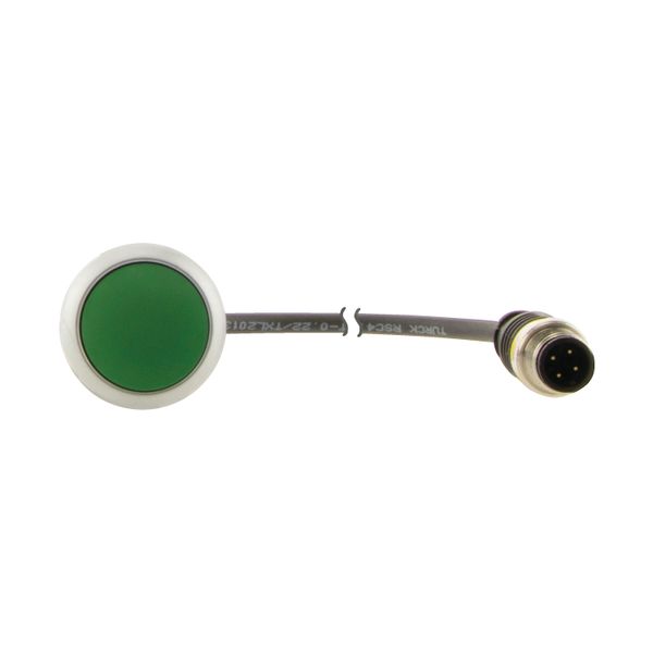 Pushbutton, Flat, momentary, 1 N/O, Cable (black) with M12A plug, 4 pole, 0.5 m, green, Blank, Bezel: titanium image 8