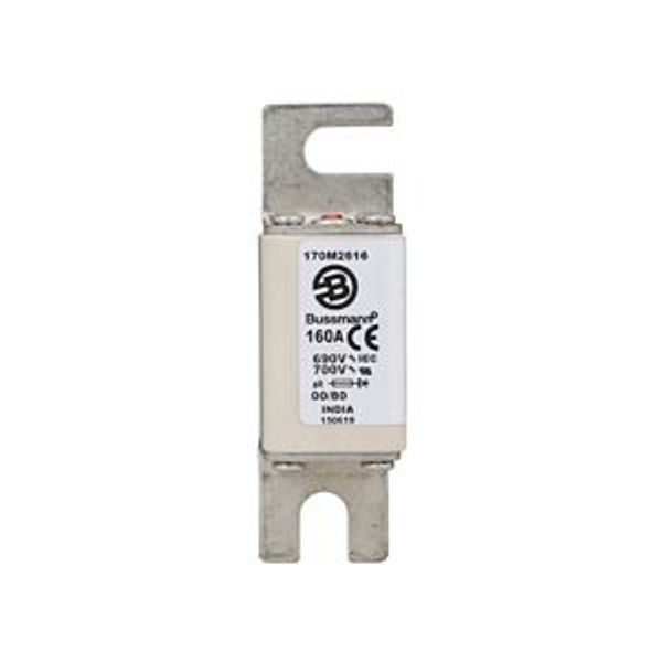 Fuse-link, high speed, 160 A, AC 690 V, DIN 00, 30 x 51 x 100 mm, aR, DIN, IEC, single indicator image 5