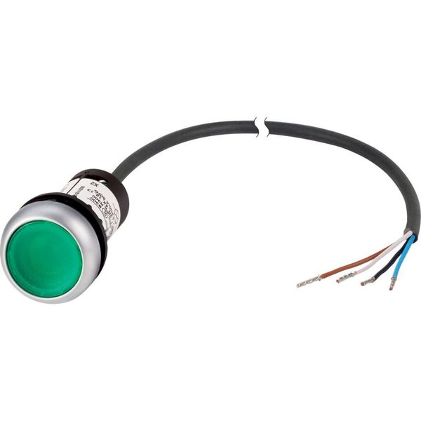 Illuminated pushbutton actuator, classic, flat, maintained, 1 N/O, green, 24 V AC/DC, cable (black) with non-terminated end, 4 pole, 1 m image 4