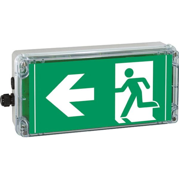 Ex-escape sign luminaires EXIT V-CG-S for emergency light function for zone 1/21, Pictogram: DIN ISO 7010, Arrow: 9 Clock image 6